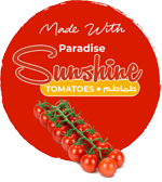 sun 02